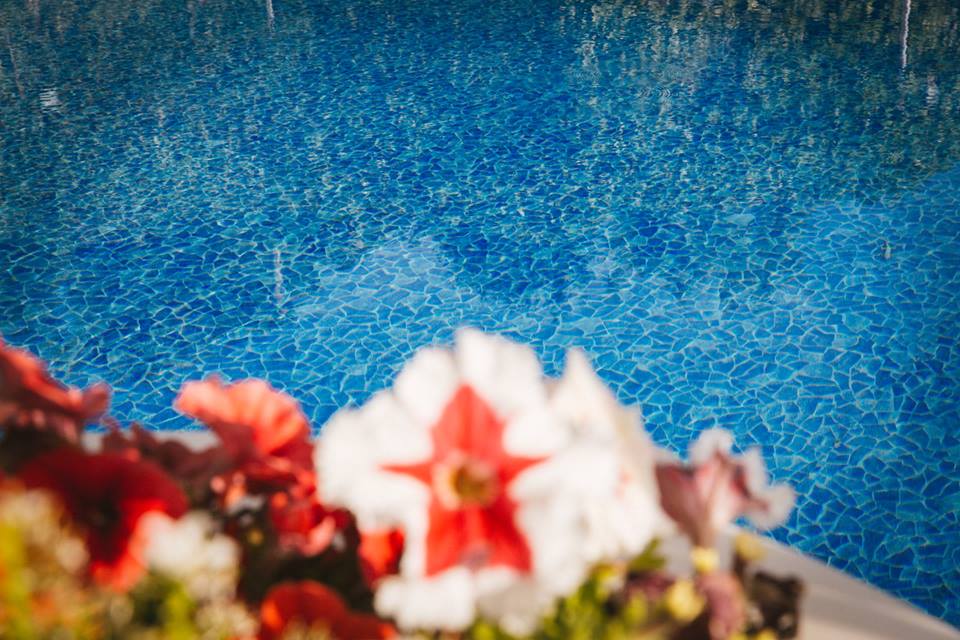 Dettaglio piscina con fiori - Tenuta Villa dei Fiori